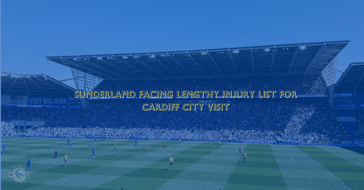 Cardiff City vs sunderland